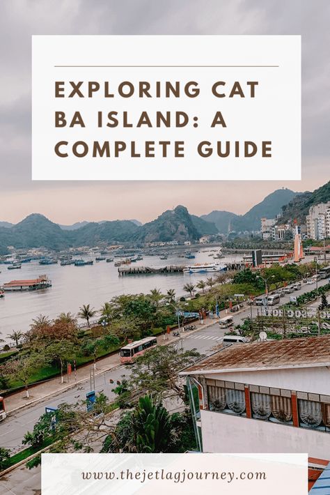 Leaving Cats While On Vacation, Packing Vacation, Traveling With A Cat, Shiny Teeth, Cheap Travel Destinations, Taiwan Beaches, Cat Island Japan, Cat Ba Island, Cat Island