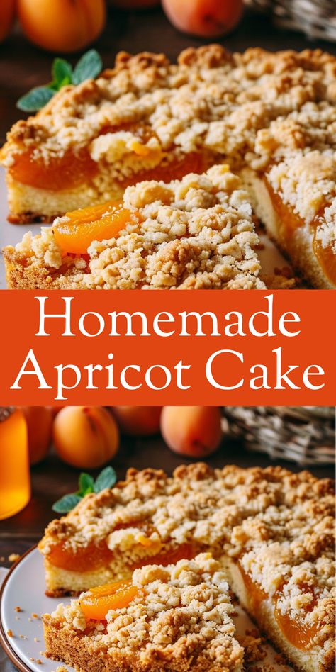 Bake a delightful homemade apricot cake with fresh apricots and a hint of cinnamon. Apricot Baked Oatmeal, Desserts With Apricots, What To Make With Apricots, Frozen Apricot Recipes Desserts, Apricot Bread Recipe With Fresh Apricots, Canned Apricot Recipes Desserts, Fresh Apricot Recipes Desserts, Recipes With Apricots, Apricot Recipes Healthy