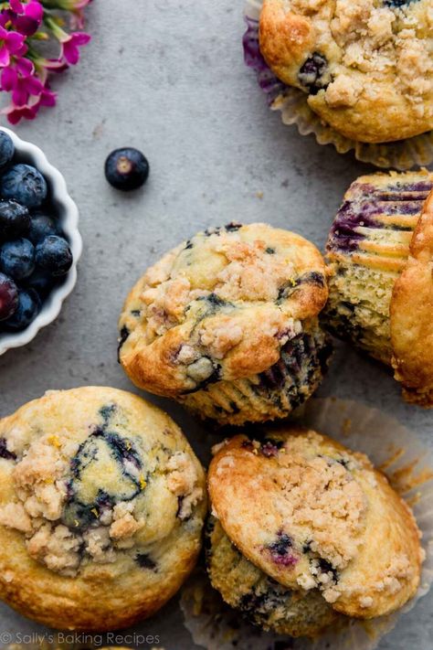 These light and fluffy lemon blueberry muffins taste just as good—or better!—than any bakery version. Greek yogurt keeps them extra moist, and you can top with a lemony brown sugar crumb topping. Recipe on sallysbakingaddiction.com Blueberry Muffins Sallys Baking, Healthy Lemon Muffins Greek Yogurt, Blueberry Muffins Lemon, Lemon Blueberry Yogurt Muffins, Sallysbakingaddiction Muffins, Blueberry Lemon Muffins Greek Yogurt, Best Lemon Blueberry Muffins, Lemon Berry Muffins, Lemon Blueberry Poppyseed Muffins