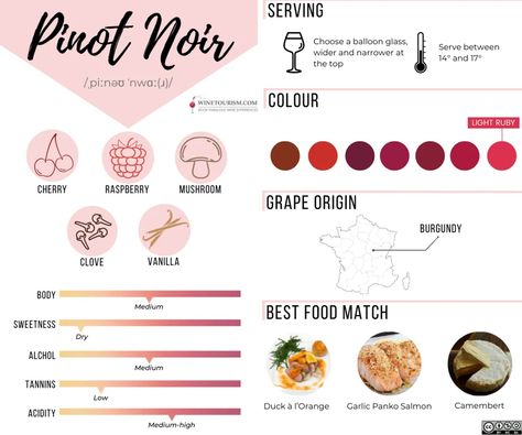 Interesting facts about Pinot Noir | WineTourism.com Pinot Noir Pairing, Burgundy France, Pinot Noir Wine, Red Grape, Types Of Wine, Red Grapes, Food Pairings, Pinot Noir, Interesting Facts