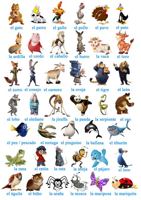 Disney Quote Lion King, Animals In Spanish, Spanish Animals, Speaking Spanish, Spanish Basics, Learn Spanish Online, Learning Spanish Vocabulary, Spanish Worksheets, Spanish Names