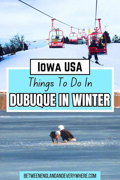 Top image: red chair lift at ski slope. Bottom image: 2 bald eagles on a frozen river Iowa Bucket List, Things To Do In Dubuque Iowa, Things To Do In Des Moines Iowa, Things To Do In Iowa, Giant Things, Winterset Iowa, Dubuque Iowa, Go Skiing, Mississippi River