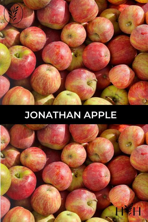 jonathan apple via @home4theharvest Jonathan Apples, Apple Tree Care, Apple Crisp Pie, Gourmet Apples, Apple Varieties, Apple Chips, Growing Tips, Fall Apples, Tree Care