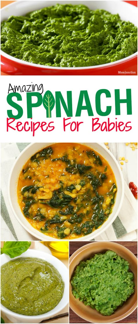 #Spinach For Babies: Health Benefits And Amazing #Recipes :Spinach is a treasure trove of minerals. Here is why it is the perfect food for your baby Baby Food With Spinach, Spinach Recipe For Baby, Spinach For Babies, Spinach Blw, Spinach Recipes For Baby, Toddler Spinach Recipes, Spinach Baby Food Recipes, Spinach Baby Food, Pap Recipe