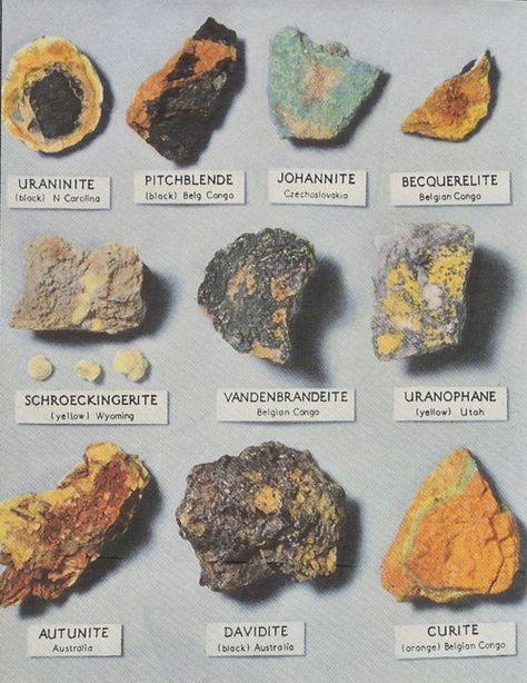 hopefully by the end of my degree, i'll be able to name all of these! Mineral Chart, Geology Rocks Mineral, Types Of Rocks, Different Types Of Rocks, Vintage National Geographic, Crystal Method, Mineral Identification, Uncut Gems, Rock Identification