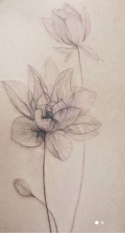 Lotus Flower Lilly Pad Tattoo, Magnolia Spine Tattoo, Fineline Lily Tattoo, Fine Line Magnolia Tattoo, Long Stem Flower Tattoo, October Birth Flower Tattoo, Shading Ideas, 2024 Tattoo, Fineline Tattoos