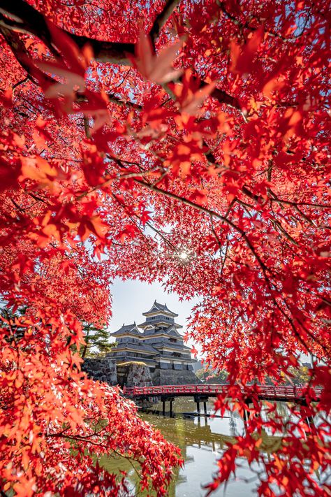 Country View, Japan Landscape, Japanese Castle, Blue Aesthetic Pastel, Japan Aesthetic, Red Leaves, Autumn Scenery, Beautiful Sights, Japan Art