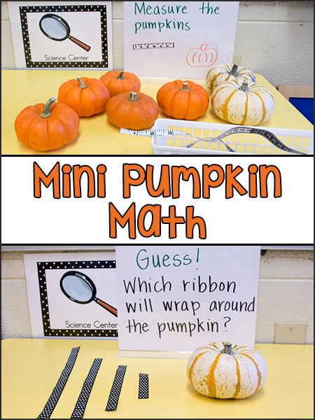 Mini pumpkins make great tools for science and math exploration in the Pre-K classroom. We used mini pumpkins for exploring weight, measurement, and estimation. These activities can be added to your Science Center or Math Center as a learning display. Children love anything mini, and I like to include real pumpkins for children to explore in the Fall. Pumpkin Lesson Plans, Pumpkin Lessons, Pumpkins Preschool, Pumpkins Kindergarten, Pre K Classroom, Pumpkin Science, Pumpkin Math, Pumpkin Unit, Fall Preschool Activities