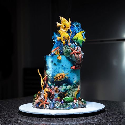 By.Aletoso LUXURY CAKES🍰🎂 (@by.aletoso) • Instagram photos and videos Aquarium Cake, Mouse Cake Topper, Nemo Cake, Cake Competition, Ocean Cakes, Luxury Cake, Mouse Cake, Cake Trends, Finding Dory