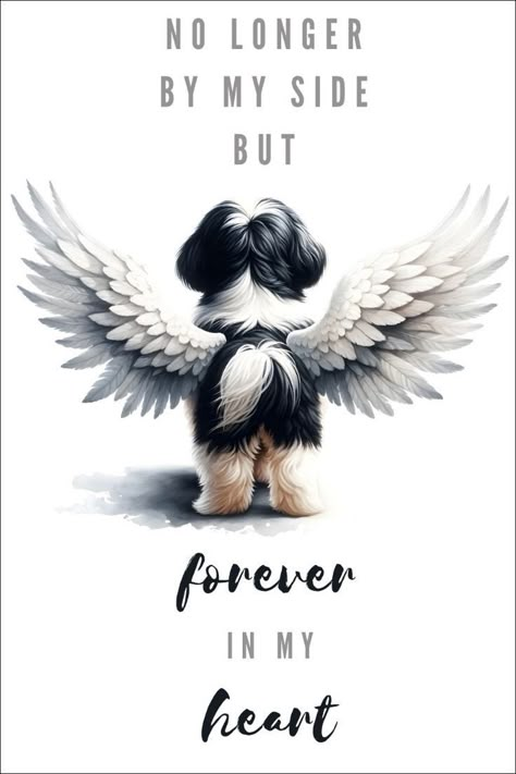 Pet Memory Quotes, Saying Goodbye To A Pet Dogs, Missing My Dog In Heaven, Black And White Shih Tzu, Dog In Heaven, Losing A Pet Quotes, Dog Grooming Shih Tzu, Tattoos For Siblings, Matching Tattoos For Siblings