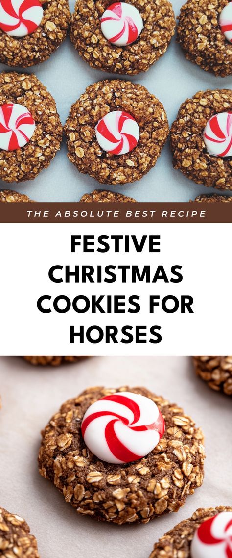 Image for Festive Christmas Cookies for Horses Healthy Horse Treats Homemade, Peppermint Horse Treats Recipes, Peppermint Horse Treats, Homemade Horse Treats Recipes, Easy Horse Treats, Horse Treat Recipes, Horse Treats Recipe Easy, Cookies For Horses, Horse Treats Recipe