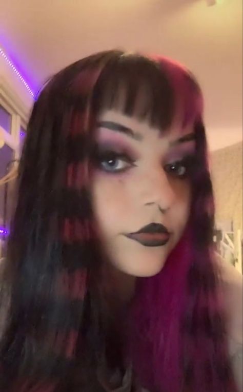 Dark Root Purple Hair, Coontails In Hair, Hair Ideas Alternative, Emo Raccoon Hair, Purple Racoon Tail Hair, Black Hair With Raccoon Tails, Purple Raccoon Tail Hair, Punk Hair Dye, Pink Raccoon Tail Hair