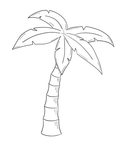 Sketch of the palm tree Royalty Free Vector Image Palm Tree Sketch, Tree Painting Easy, Tree Drawing Simple, Beach Sketches, Palm Tree Drawing, Palm Tree Vector, Summer Drawings, Beach Drawing, Tree Drawings Pencil