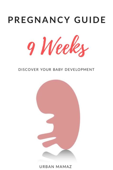 Pregnancy guide - 9 weeks. Are you pregnant? Wondering how is your baby developing? Discover your baby and pregnancy development - Week by week pregnancy guide- pregnancy trimesters, all the pregnancy stages- click here to read about 9 weeks pregnancy》 12weeks Pregnant, Week 8 Pregnancy, Pregnancy Trimesters, Pregnancy Development, 7 Weeks Pregnant, Body Changes During Pregnancy, Week By Week Pregnancy, 9 Weeks Pregnant, 17 Weeks Pregnant