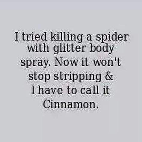 Cinnamon is the perfect name for a spider!! Laughter Therapy, You Make Me Laugh, Belly Laughs, Can't Stop Laughing, Twisted Humor, Sarcastic Quotes, Funny Signs, Spiders, Bones Funny