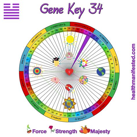 Gene Keys, Are You Experienced, Human Design System, I Ching, Astrology Chart, Embrace Change, Leap Of Faith, E 40, Human Design