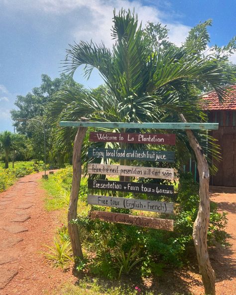 Who knew a tour of a Pepper Farm would be so much fun 🌿 We also saw salt fields, caves and mangroves and spent half a day driving around the Cambodian countryside #travel #cambodia #pepperfarm #kampot #caves Cambodian Countryside, Pepper Farm, Kampot Cambodia, Travel Cambodia, Day Driving, Fresh Fruit Juice, Asia Trip, Kampot, Farm Tour