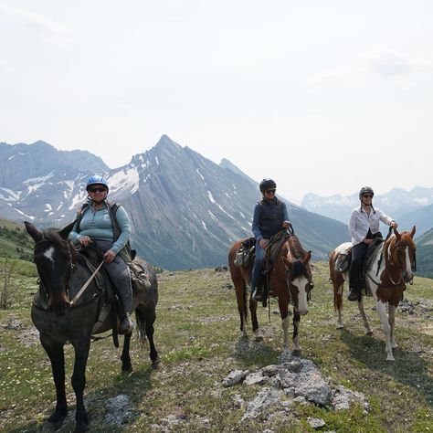 🌿🐎 Celebrate National I Love Horses Day with us! Embrace the wild spirit of adventure with our incredible horseback riding tours. From the stunning landscapes of Banff to the rugged beauty of the Scottish Highlands, our horse adventures offer transformative travel experiences that connect you deeply with nature and the majestic horses we ride. 🐴 Saddle up and join us on a journey of empowerment and discovery. Feel the power, grace, and freedom as you ride through breathtaking terrains.🐎💫 Che... I Love Horses, Horse Adventure, Majestic Horses, Love Horses, Stunning Landscapes, Majestic Horse, Wild Spirit, Scottish Highlands, Horseback Riding