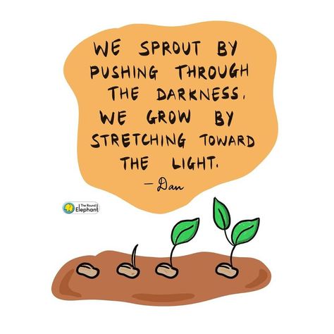 The Round Elephant theroundelephant quote motivation inspiration light seed sprout grow growth Seed Quotes Life, Seed Sayings Quotes, Planted Seed Quotes, Growth Quotes Plants, Seeds Quotes Inspiration, Planting A Seed Quote, Planting Quotes Life Inspiration, Plant Growing Quotes Life, Growing Plants Quotes