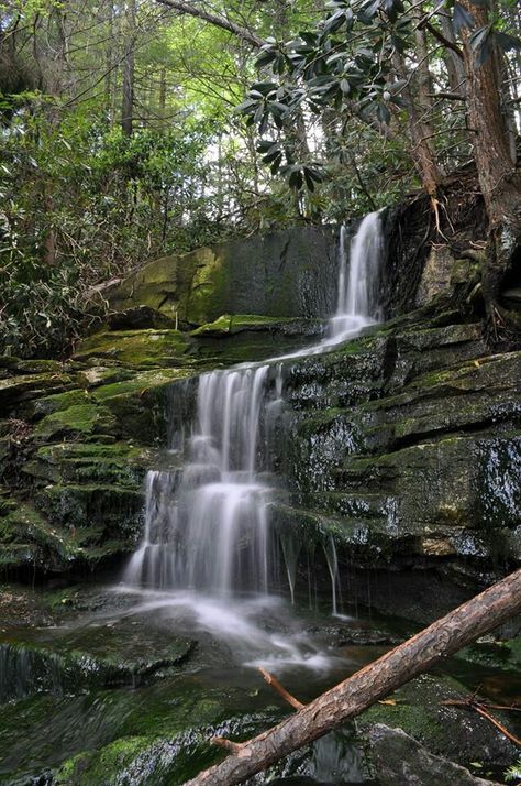 West Virginia Vacation, Blackwater Falls, Virginia Vacation, Water Falls, Autumn Park, Waterfall Photography, Beautiful Mountains, Ponds, West Virginia