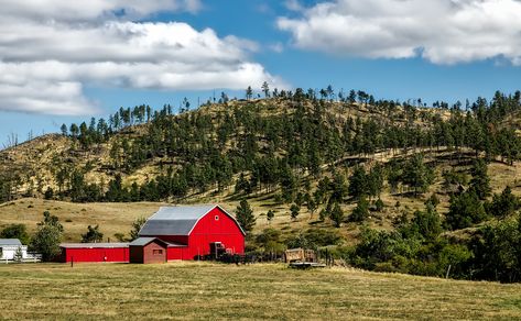 Wyoming is the Cowboy State, so it’s not surprising that cattle is the number one agricultural industry there. But it’s certainly not the only thing. Shipping Container Sheds, Cloud Photo, Building A Pole Barn, Post Frame Building, Wood Barn, Cloud Photos, Free Cloud, Metal Barn, Wooden Sheds