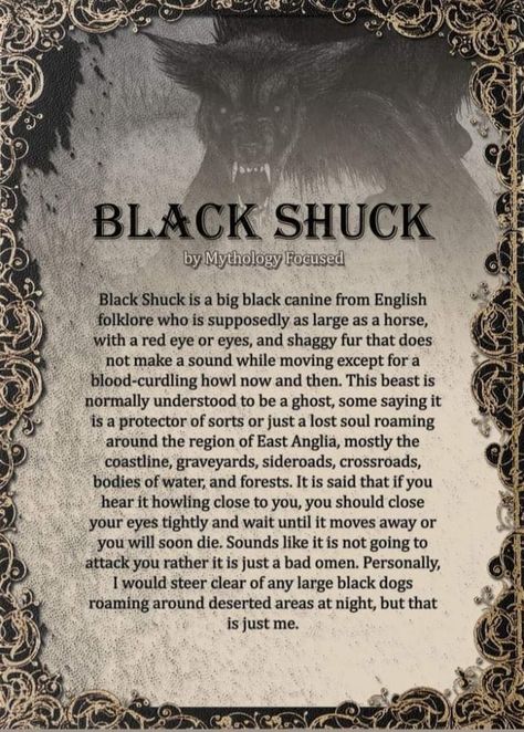 Supernatural Creatures List, Mystical Creatures Mythology, Fantasy Creatures Mythology, Black Shuck, Urban Myth, Myths & Monsters, Magic Spell Book, Legends And Myths, Celtic Mythology