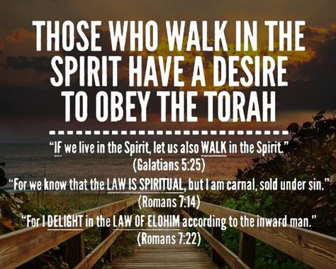 Galatians 5:25; Romans 7:14, 22 Torah Quotes, Messianic Judaism, Torah Study, Walk In The Spirit, The Torah, Happy Sabbath, Learn Hebrew, True Faith, Bible Knowledge