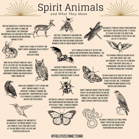 35, married, disabled, pansexual, witch, tarot reader, herbalist, venmo &PayPal @emandrahime Animals And Their Meanings, Animal Tattoo Meanings, Spirit Animals Book, Spirit Animal Tattoo, Spirit Animal Meaning, Tarot Card Reader, Animal Meanings, Tattoos Infinity, Animal Spirit Guide