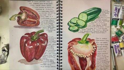 Observational Study Art, Months Activities, Painting Vegetables, Natural Forms Gcse, Drawing Objects, Artist Research Page, Art Layout, Igcse Art, Alevel Art