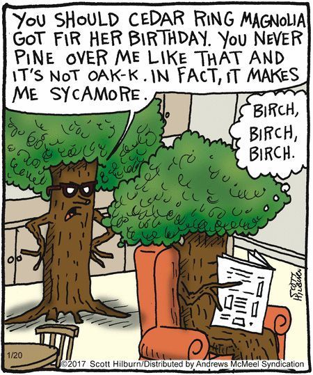 For the love of trees... 🌲 🌳 😅 Tree Puns, Argyle Sweater Comic, Plant Jokes, Gardening Humor, Bad Puns, Science Humor, Cartoon Jokes, Dad Jokes, Funny Cartoons