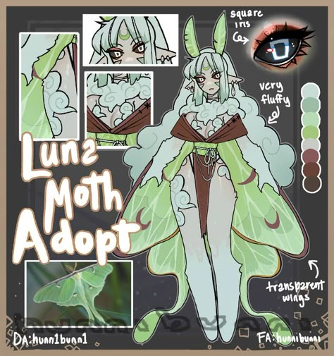 Moth Art, Luna Moth, Mythical Creatures Art, Monster Design, Creature Concept Art, Character Sheet, Discord Server, Character Design References, Sketchbook Art Inspiration