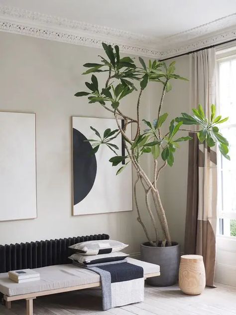 London Homes, Minimalism Living, Soft Minimalism, Decor Ikea, Boho Living Room Decor, Interior Plants, Style Deco, Décor Boho, Minimalism Interior