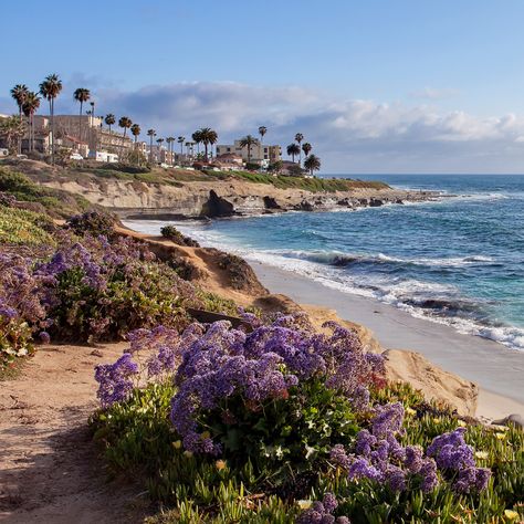 La Jolla offers beautiful views of the ocean and rugged cliffs, but you'll also find elegant restaurants and little cafes, along with upscale shopping, art museums, and a world-class research aquarium. California Beach Aesthetic, 2023 Vibes, Southern California Travel, Seaside Cafe, California Life, Cali Trip, La Jolla Shores, La Jolla Beach, California Beaches