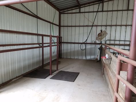 Stavinoha Cattle Wash Rack Livestock Wash Rack, Wash Rack For Cattle, Cattle Wash Rack, Show Cattle Barn Layout, Barn Organization Ideas, Show Cattle Barn, Cattle Facility, Showing Cattle, Dream Ranch