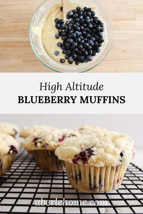 High Altitude Biscuit Recipe, Frozen Blueberry Muffins, High Altitude Cake Recipe, Blueberry Crumb Muffins, Fresh Blueberry Muffins, Moist Blueberry Muffins, Chocolate Pumpkin Muffins, Homemade Blueberry Muffins, High Altitude Baking