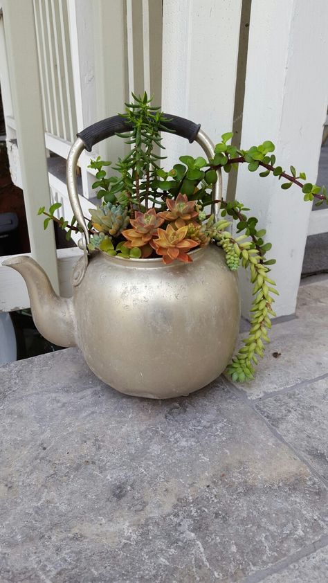 Tea Pot Planter, Old Tea Pots, Balkon Decor, Rusty Garden, Teacup Gardens, Succulent Garden Design, Vintage Gardening, Succulent Garden Diy, Recycled Garden