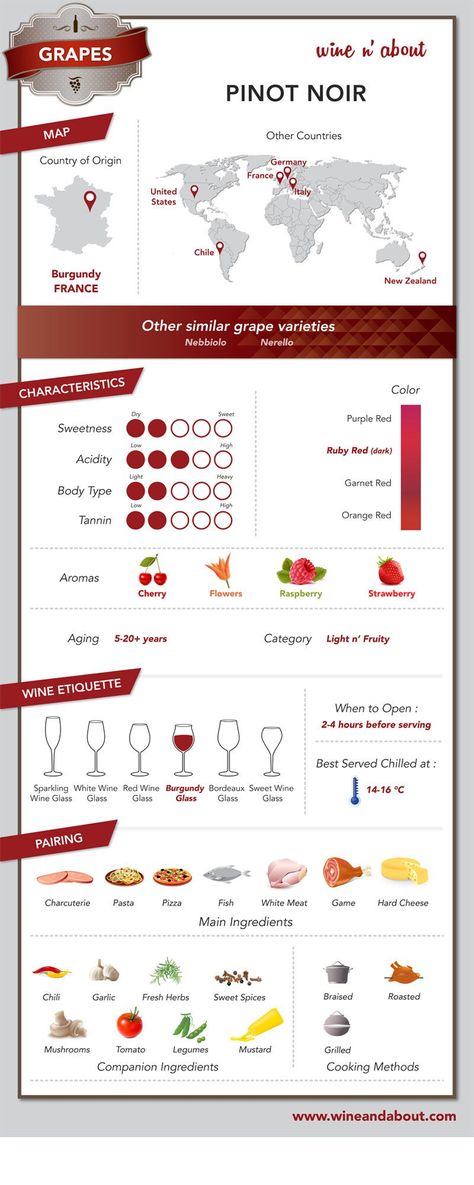 Grape: Pinot Noir Wine Etiquette, Wine Basics, Wine Facts, Fruity Wine, Wine Knowledge, Wine Education, Wine Guide, Types Of Wine, Food Info