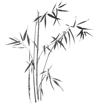 Bamboo Plant Clip Art, Vector Images & Illustrations - iStock