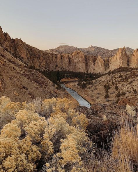 Savannah • Oregon Photographer on Instagram: “dreamy autumn sunsets in the high desert 🌾✨” Oregon Desert, Oregon Landscape Photography, Oregon Sunset, Saddle Mountain Oregon, Alvord Desert Oregon, Oregon Photography, Central Oregon, Desert Garden, Savannah Chat