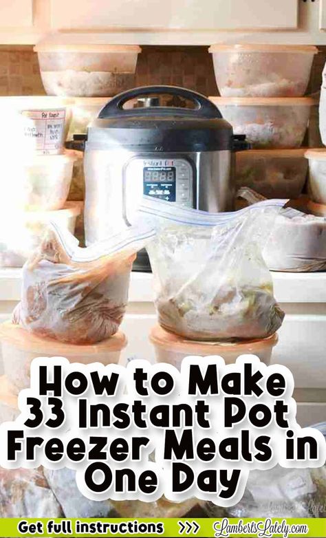 Prepare over 30 Instant Pot Freezer Meals in one day! These are easy recipes that give you dump-and-go meals for a month. Includes printable freezer meal labels and grocery lists for healthy, make-ahead dinners. Ninja Foodi Freezer Dump Meals, Instant Pot Freezer Meals Healthy, Freezer To Instant Pot Recipes, Instapot Freezer Meals Make Ahead, Pressure Cooker Meal Prep, Instapot Freezer Meals, Freezer Meals For Instant Pot, Freezer Instant Pot Meals, Dump Instant Pot Meals