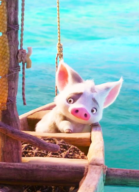 Moana Pig Pua, Disney Pig, Moana Wallpaper, Disney Sidekicks, Moana Disney, Disney Princess Moana, Disney Cuties, Cute Piglets, Disney Collage