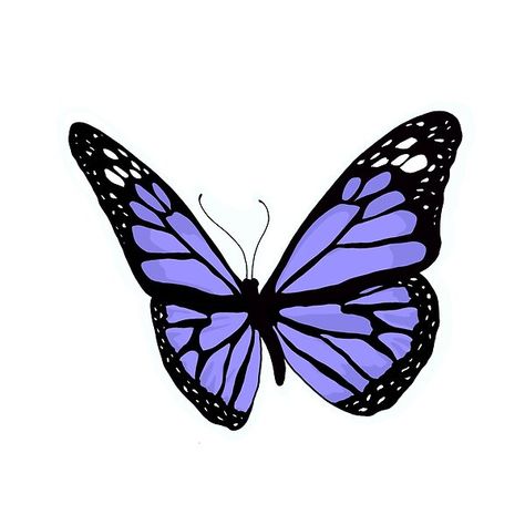 Purple Butterfly by brdesigned | Redbubble Purple Butterfly Drawing, Mariposas Aesthetic, Butterfly Drawing Ideas, Butterfly Drawing Easy, Drawing Purple, Borboleta Tattoo, Purple Butterfly Wallpaper, Butterfly Wallpaper Iphone, Instagram Background