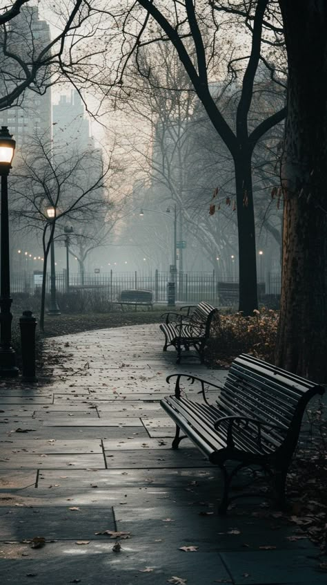 #Misty Park Scene: An early #morning in a serene #park with #benches awaits the day amidst a #foggy ambiance. #mist #park #benches #morning #fog #aiart #aiphoto #stockcake ⬇️ Download and 📝 Prompt 👉 https://stockcake.com/i/misty-park-scene_229620_43437 Cool Desktop Wallpapers, Park Scene, Park Benches, Foggy Day, Morning Fog, Misty Morning, Scene Image, Urban Park, Foggy Morning