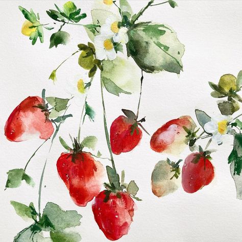 Strawberry Art Watercolor, Watercolour Painting Strawberries, Strawberry Watercolour Painting, Strawberry Plant Watercolor, Watercolor Fruit Paintings, Watercolour Strawberries, Watercolour Strawberry, Strawberries Watercolor, Fruits Watercolor