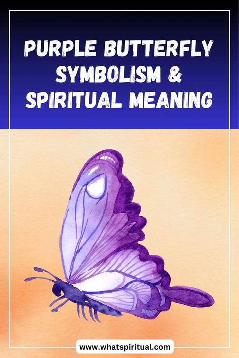 Purple Butterfly Symbolism, Spiritual Meaning & Significance 2 Butterfly Spirit Animal, Purple Meaning, Butterfly Symbolism, Power Animal, Think Deeply, Hope Symbol, Message Of Hope, Spiritual Meaning, Native American Culture