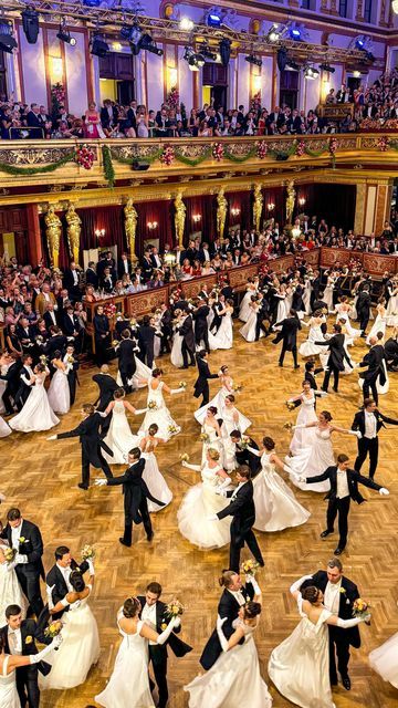 Vienna Travel & Lifestyle | Zhu Liu on Instagram: "It was absolutely a dream came true at the Vienna Philharmonic Ball @viennaphilharmonic last night!! 👑🍾🥂🎊 The golden ball at Musikverein was decorated once again for the annual Vienna Philharmonic Ball🌹 And 2 special fanfares were played to celebrating 100 years of the ball - one by Richard Strauss for the very first Vienna Philharmonic Ball in 1924, and another one by John Williams played at the 80th Bal last yearl.🎻🎵 Personally, I think the Vienna Philharmonic Ball is the most elegant ball in Vienna, because the music and programme (ofc), the location (not that many balls are hold in Musikverein), some hidden concerts around the house, and somehow it feels more private and intimate☺️🫶🎶 *A huge thanks to Vienna Philharmonic Ball Vienna Food, Travel Vienna, Vienna Philharmonic, Richard Strauss, Celebrating 100 Years, Vienna Travel, Austria Vienna, John Williams, Austria Travel