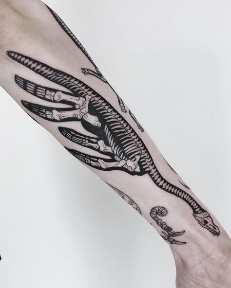 Pony Reinhardt Tattoo on Instagram: “Skeletal plesiosaur on a prehistoric sleeve - thanks Rhiannon! 🦕🐋” Mosasaurus Skeleton Tattoo, Plesiosaurs Tattoo, Archeologist Tattoo, Skeletal Animal Tattoos, Sauropod Tattoo, Dinosaur Bones Tattoo, Plesiosaurus Tattoo, Zoology Tattoo, Megalodon Tattoo