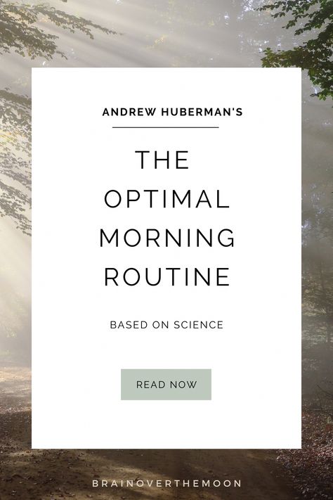 Dr. Huberman's optimal morning routine shows us that when you follow science, becoming the best version of yourself is not as challenging as you might think! Morning Wellness Routine, Bullet Journal Topics, Morning Workout Motivation, Morning Routine Chart, Andrew Huberman, Morning Yoga Routine, Morning Activities, Routine Chart, Healthy Morning Routine