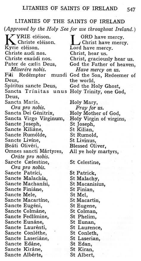 Litany Of The Saints, Roman Church, Irish Catholic, Irish Saints, Stations Of The Cross, Irish History, Irish Heritage, English Translation, The Year