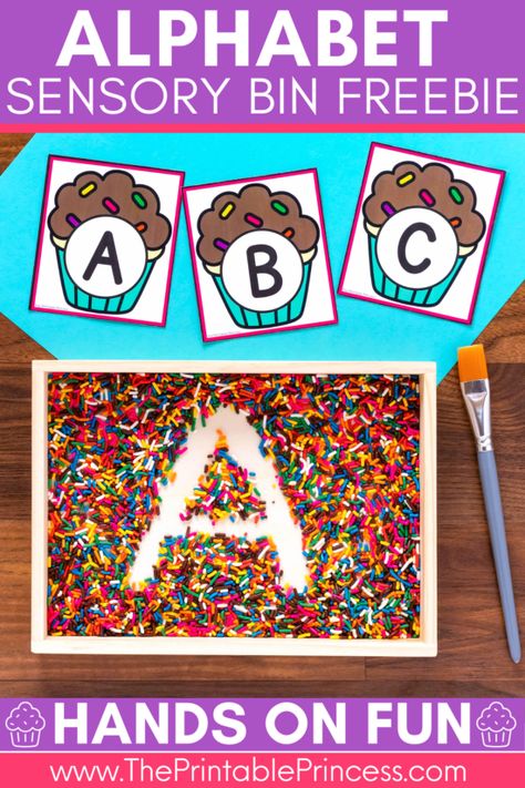 Free Alphabet Sensory Bin - It is important to use hands-on activities that are fun and interactive when teaching students to recognize alphabet letters. I wanted to share some free resources to help you create an alphabet sensory bin along with a fun way to practice writing letters.   You’ll need the cupcake letter cards, which are available as a FREE download at the bottom of this blog post. You will want to print, laminate, and cut apart the alphabet cards. Alphabet Sensory Bin, Kindergarten Sensory, Letter Activity, Sensory Bin Ideas, Letter Matching Activities, Activities For Kindergarten, Language Art Activities, Teaching The Alphabet, Letter Activities